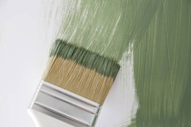 Best Black Mold Removal  in Bethany, IL