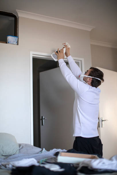 Best Basement Mold Removal  in Bethany, IL