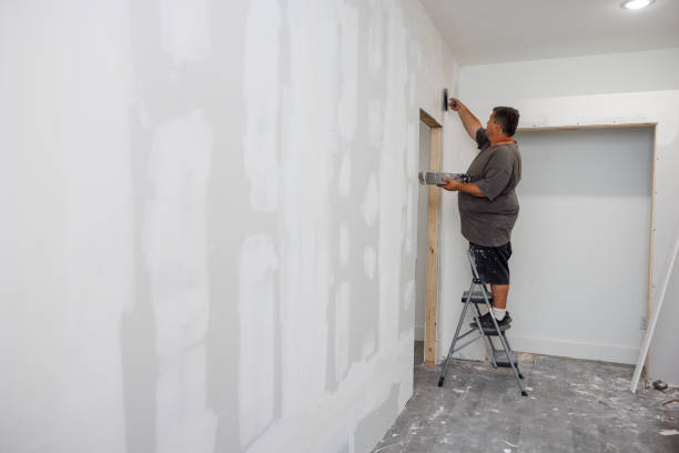 Best Attic Mold Removal  in Bethany, IL
