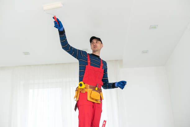 Best Comprehensive Air Testing for Mold Contaminants  in Bethany, IL