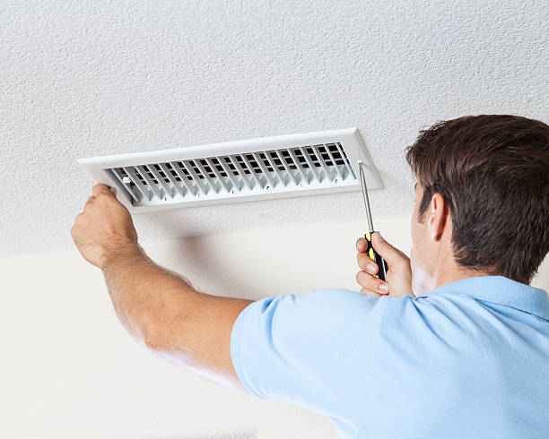 Trusted Bethany, IL Mold Removal Experts