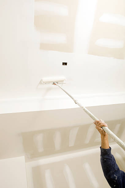 Best Post-Construction Mold Inspection  in Bethany, IL