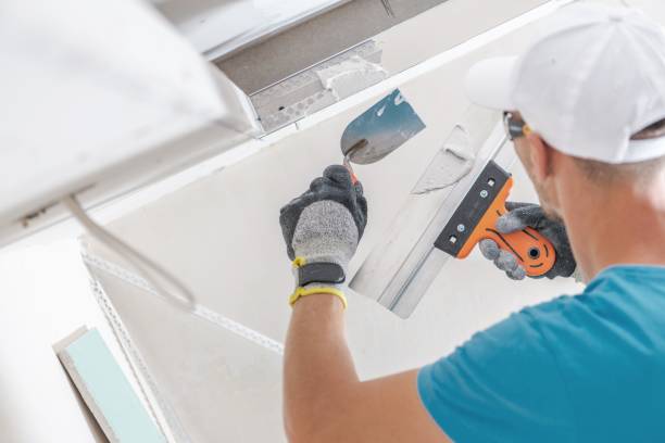 Best Commercial Mold Inspection  in Bethany, IL